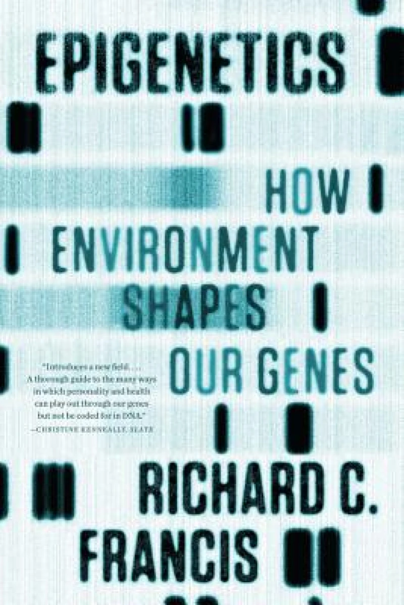 Epigenetics – How Environment Shapes Our Genes