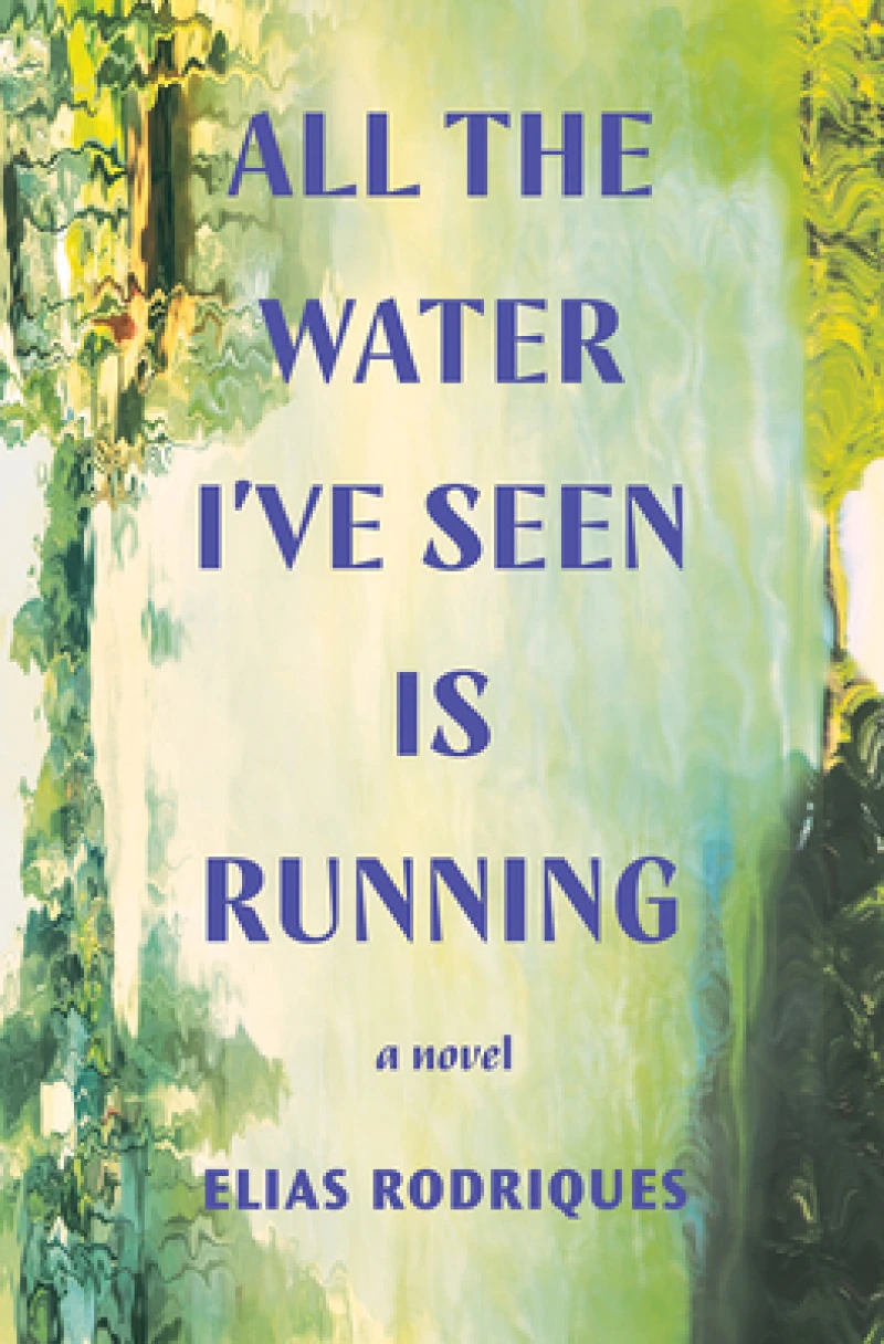 All the Water I've Seen Is Running - A Novel