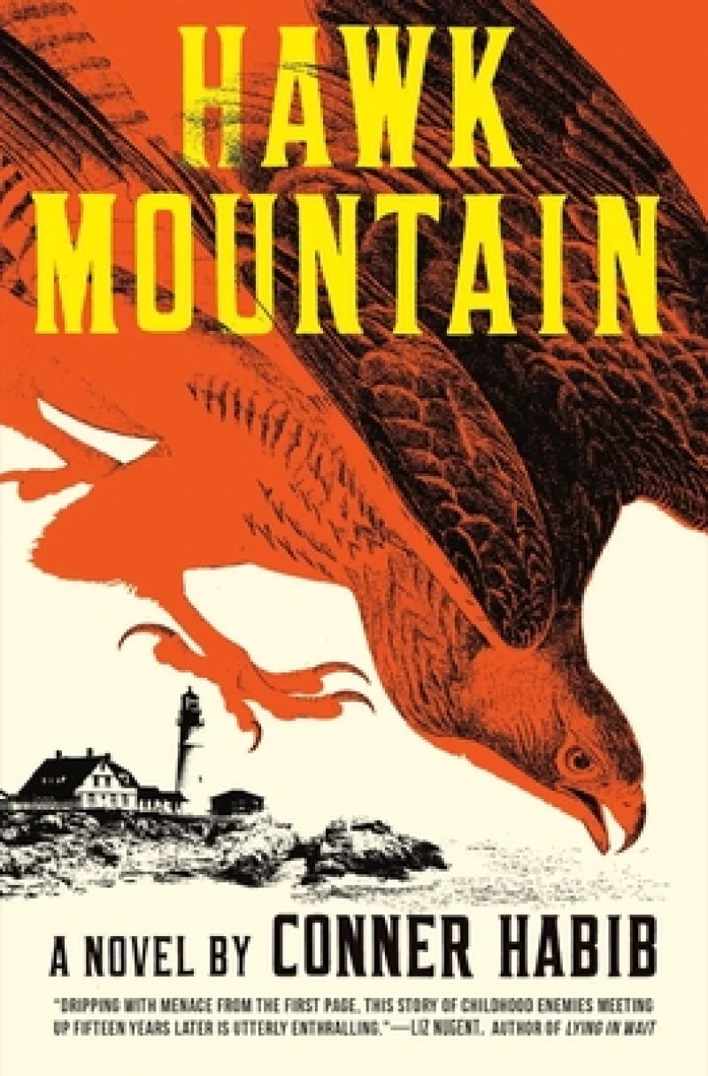 Hawk Mountain - A Novel