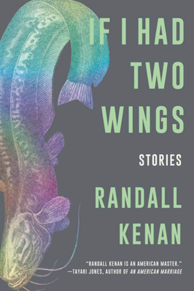 If I Had Two Wings - Stories