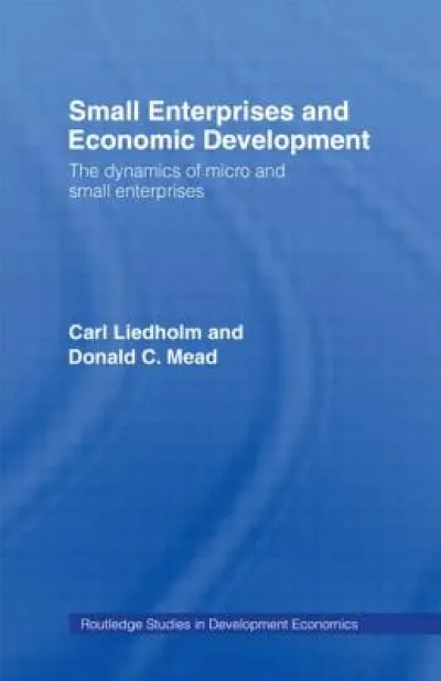 Small Enterprises and Economic Development