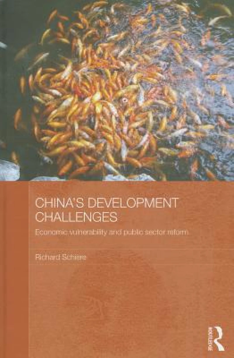 China's Development Challenges