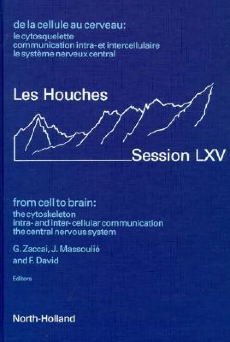 From Cell to Brain