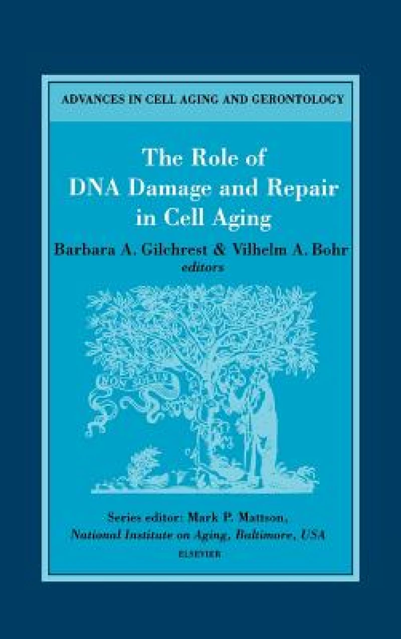 The Role of DNA Damage and Repair in Cell Aging