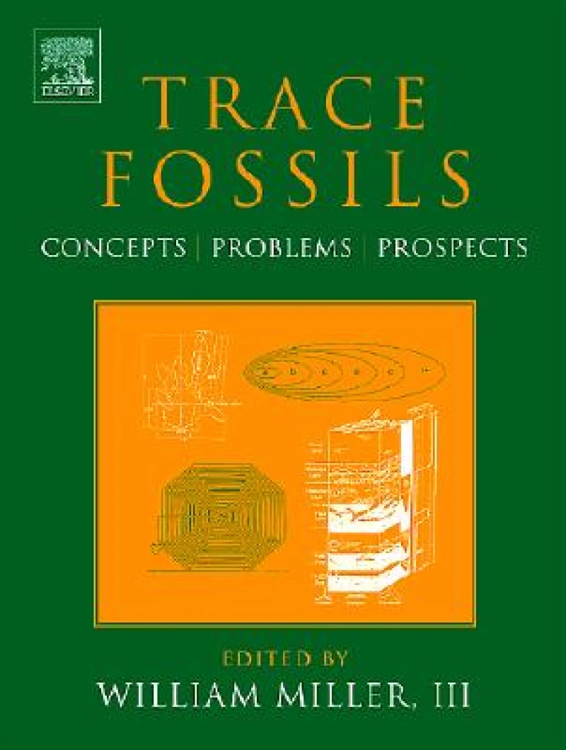 Trace Fossils