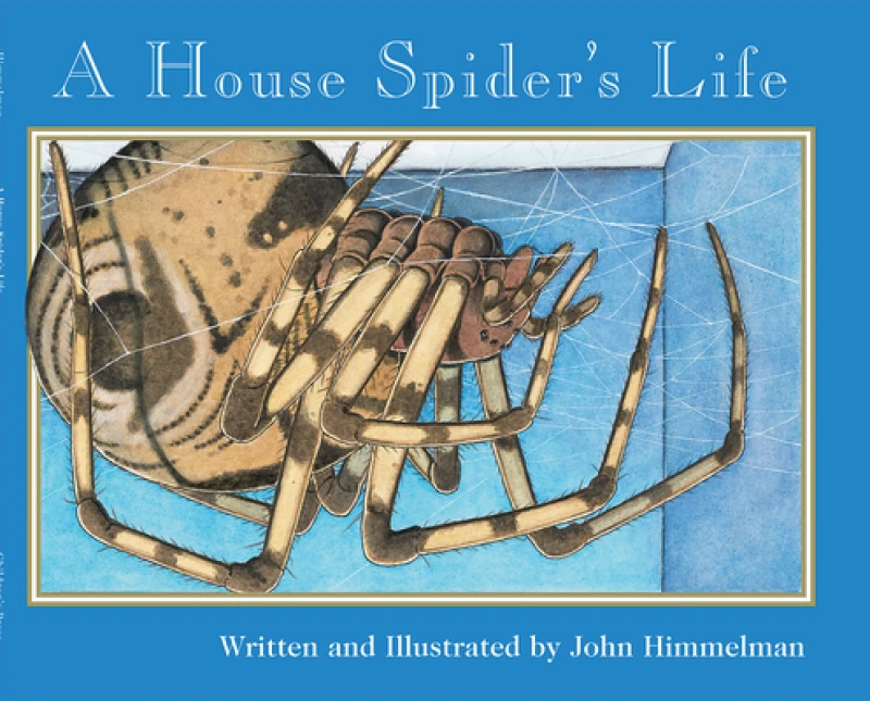 A House Spider''s Life (Nature Upclose)