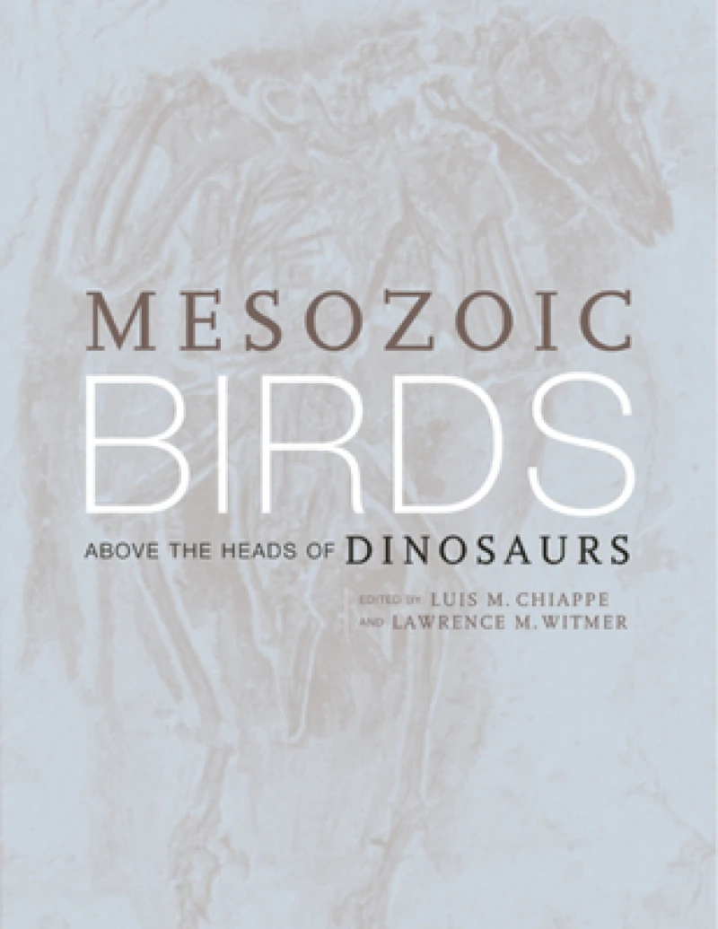 Mesozoic Birds