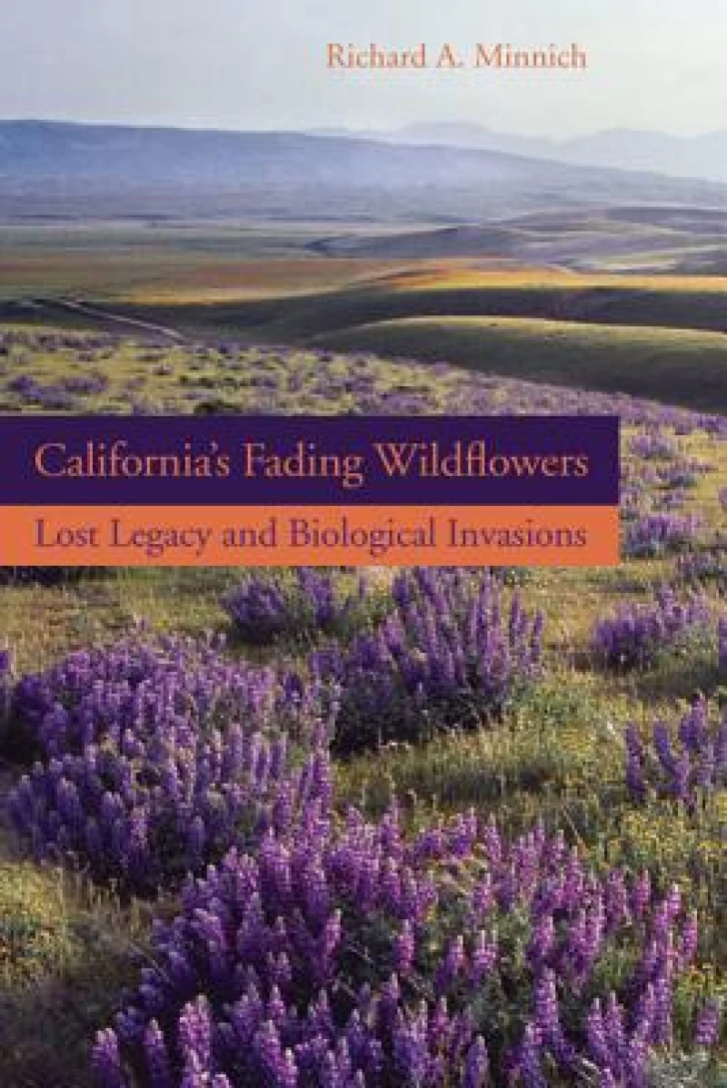 California’s Fading Wildflowers