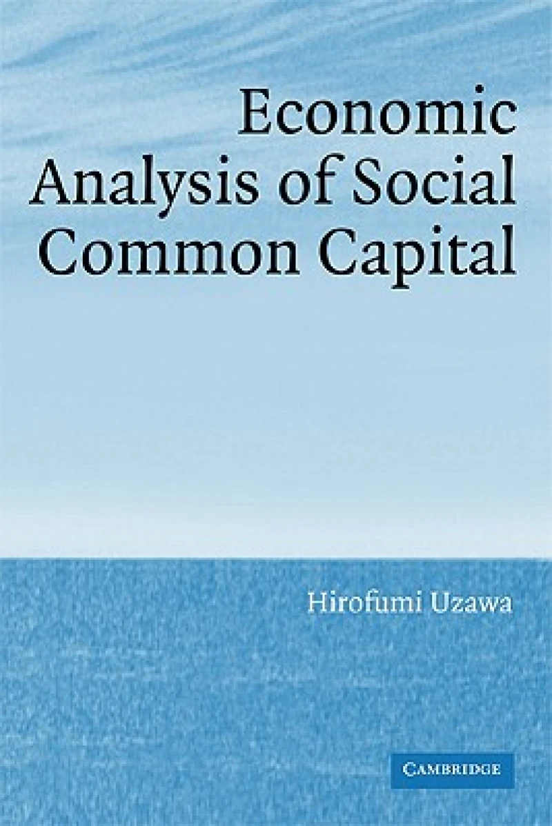 Economic Analysis of Social Common Capital