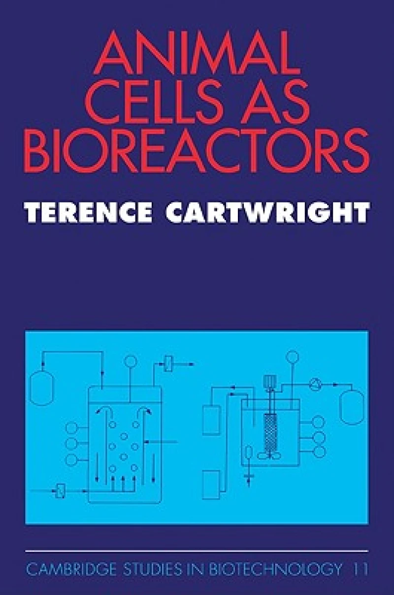Animal Cells as Bioreactors