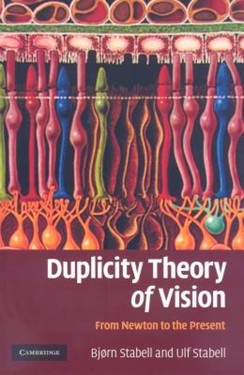 Duplicity Theory of Vision