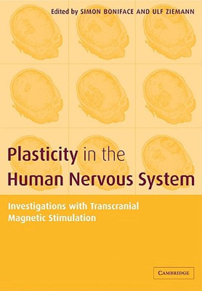 Plasticity in the Human Nervous System