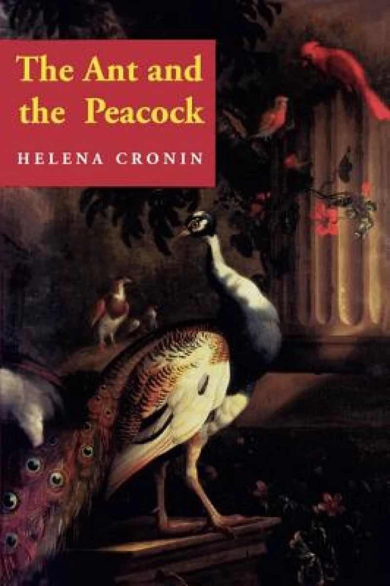 The Ant and the Peacock