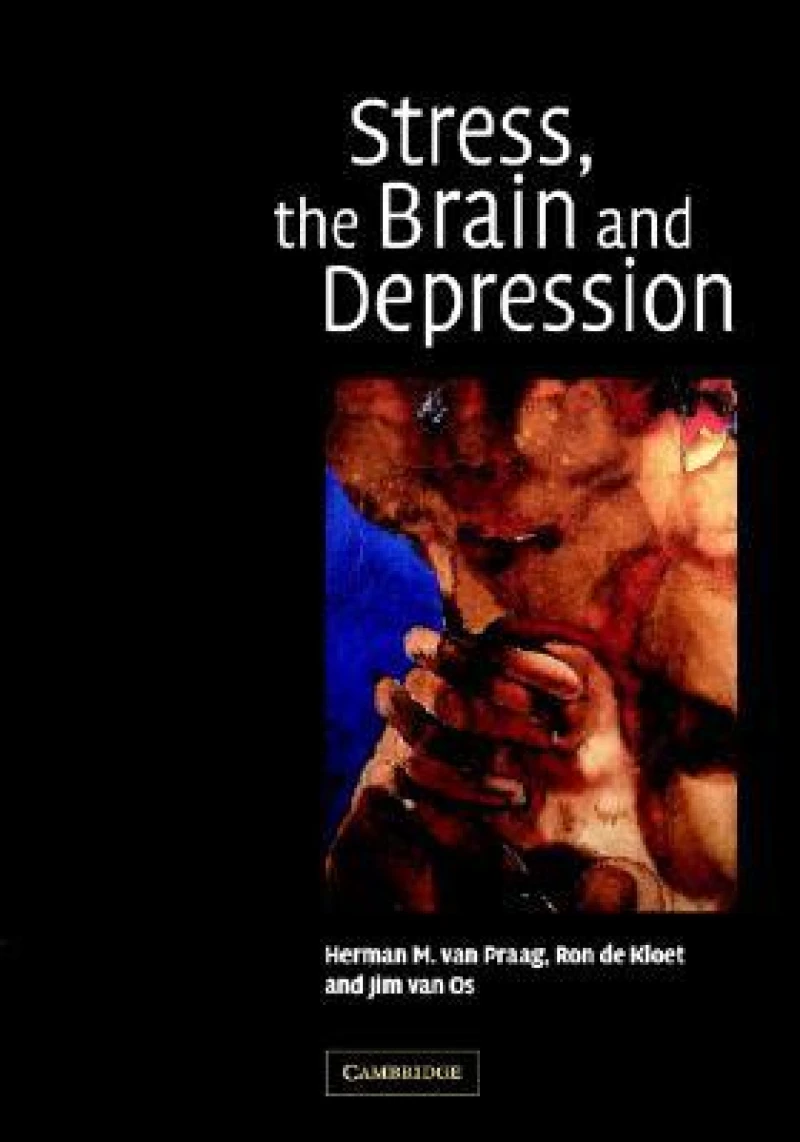 Stress, the Brain and Depression