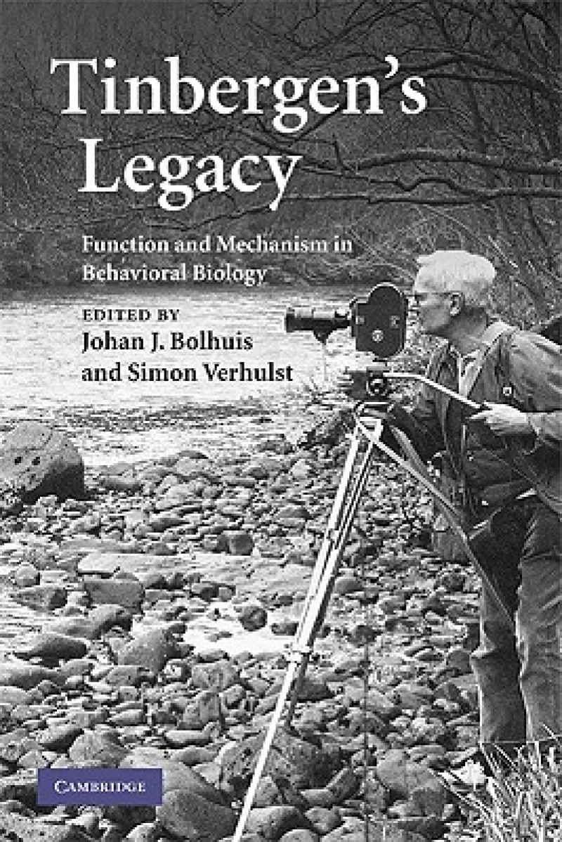 Tinbergen''s Legacy