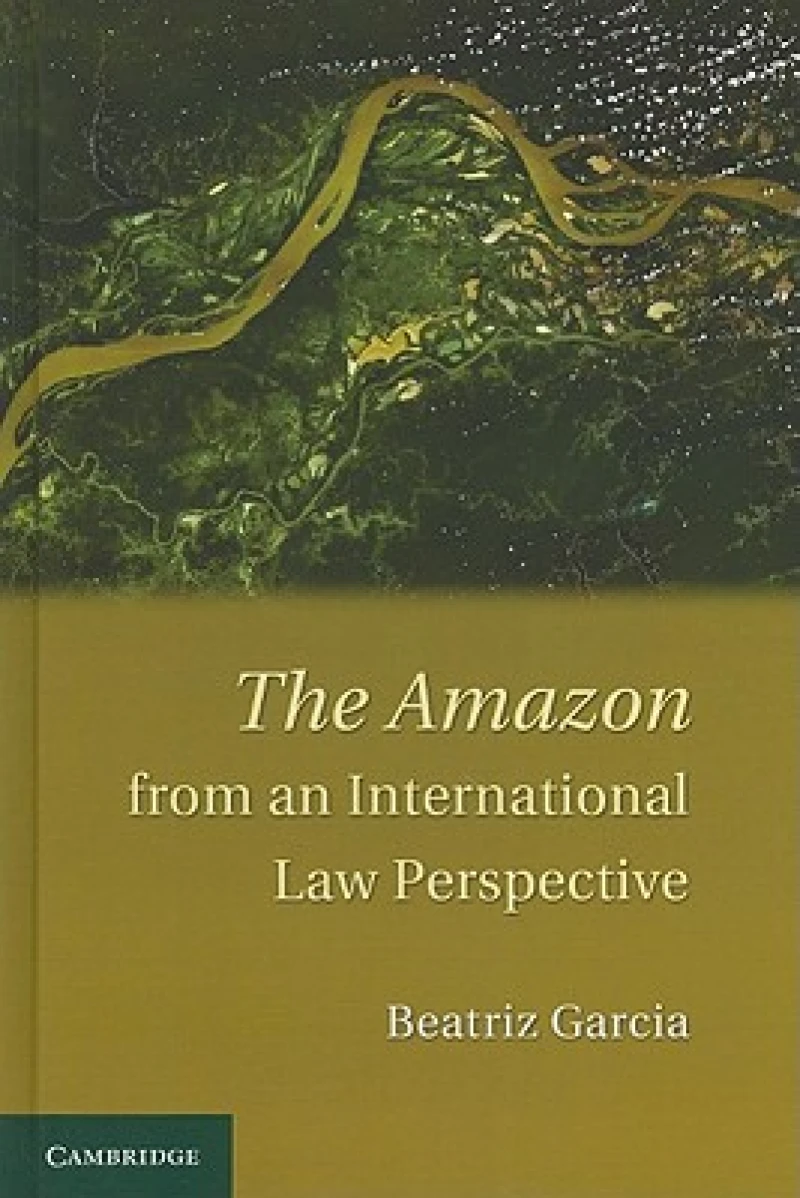 The Amazon from an International Law Perspective