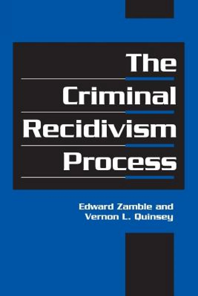 The Criminal Recidivism Process