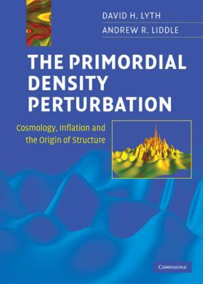 The Primordial Density Perturbation