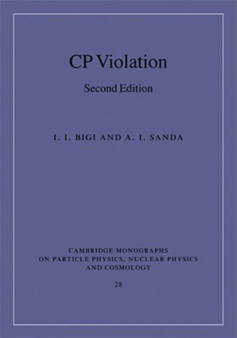 CP Violation