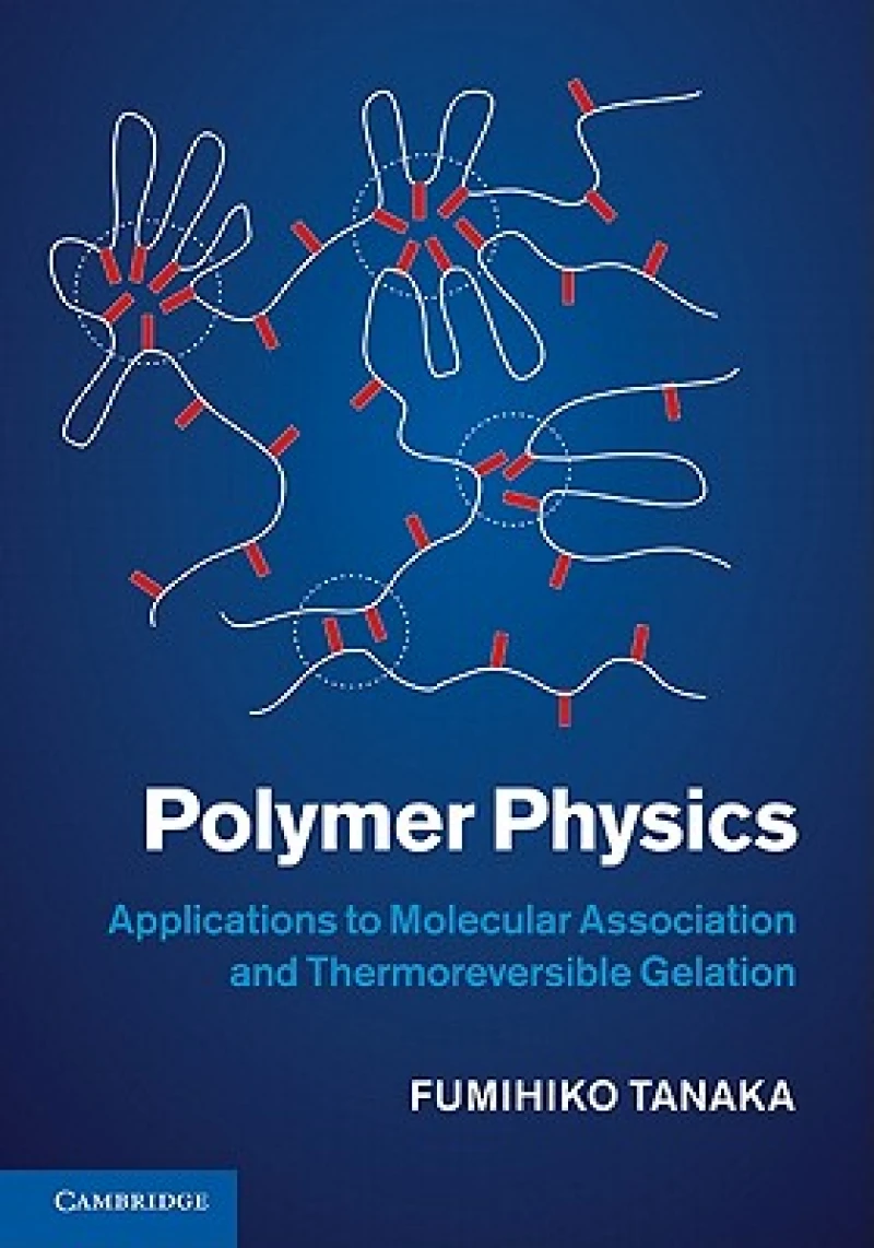 Polymer Physics