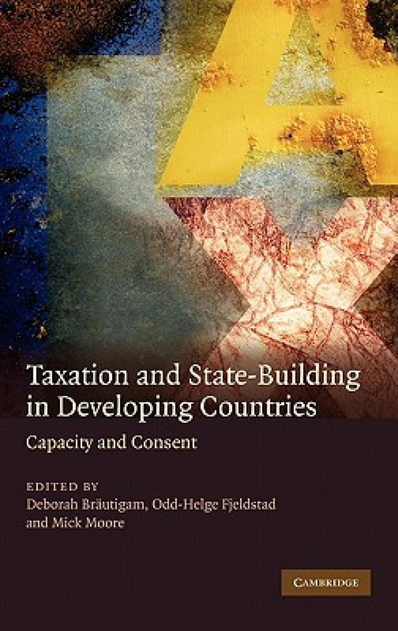 Taxation and State-Building in Developing Countries
