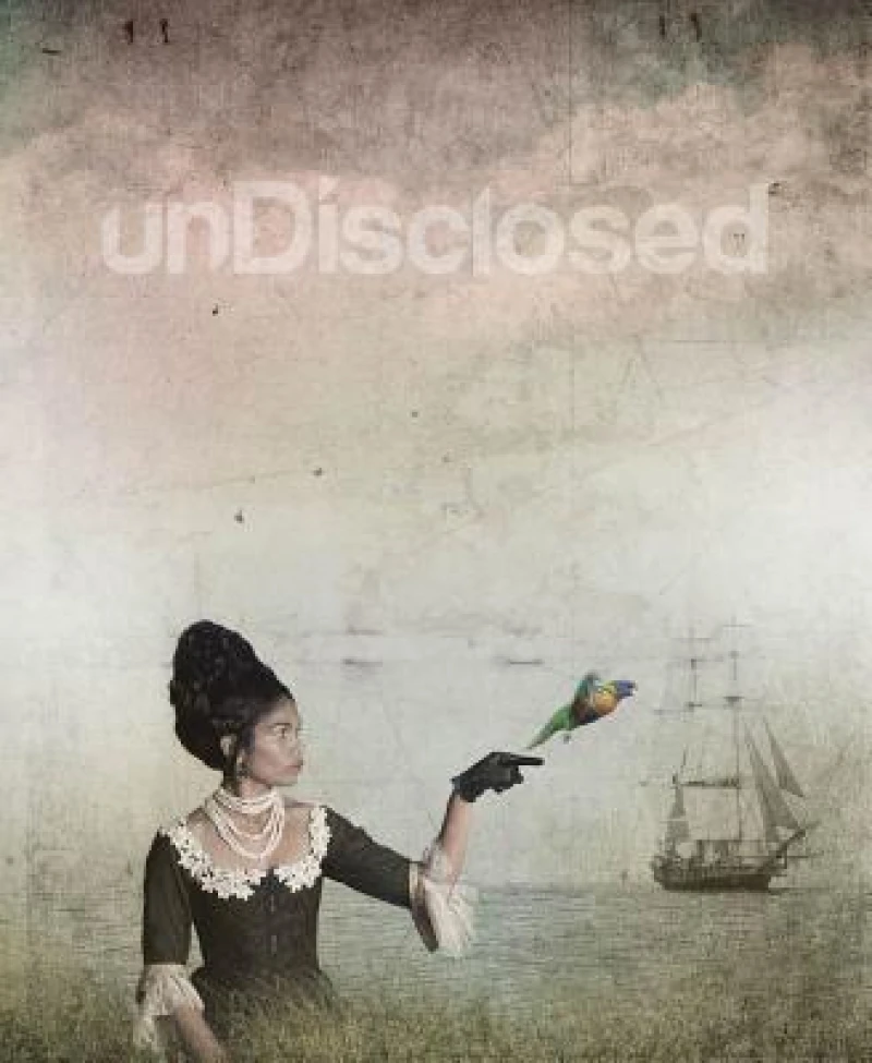 UnDisclosed