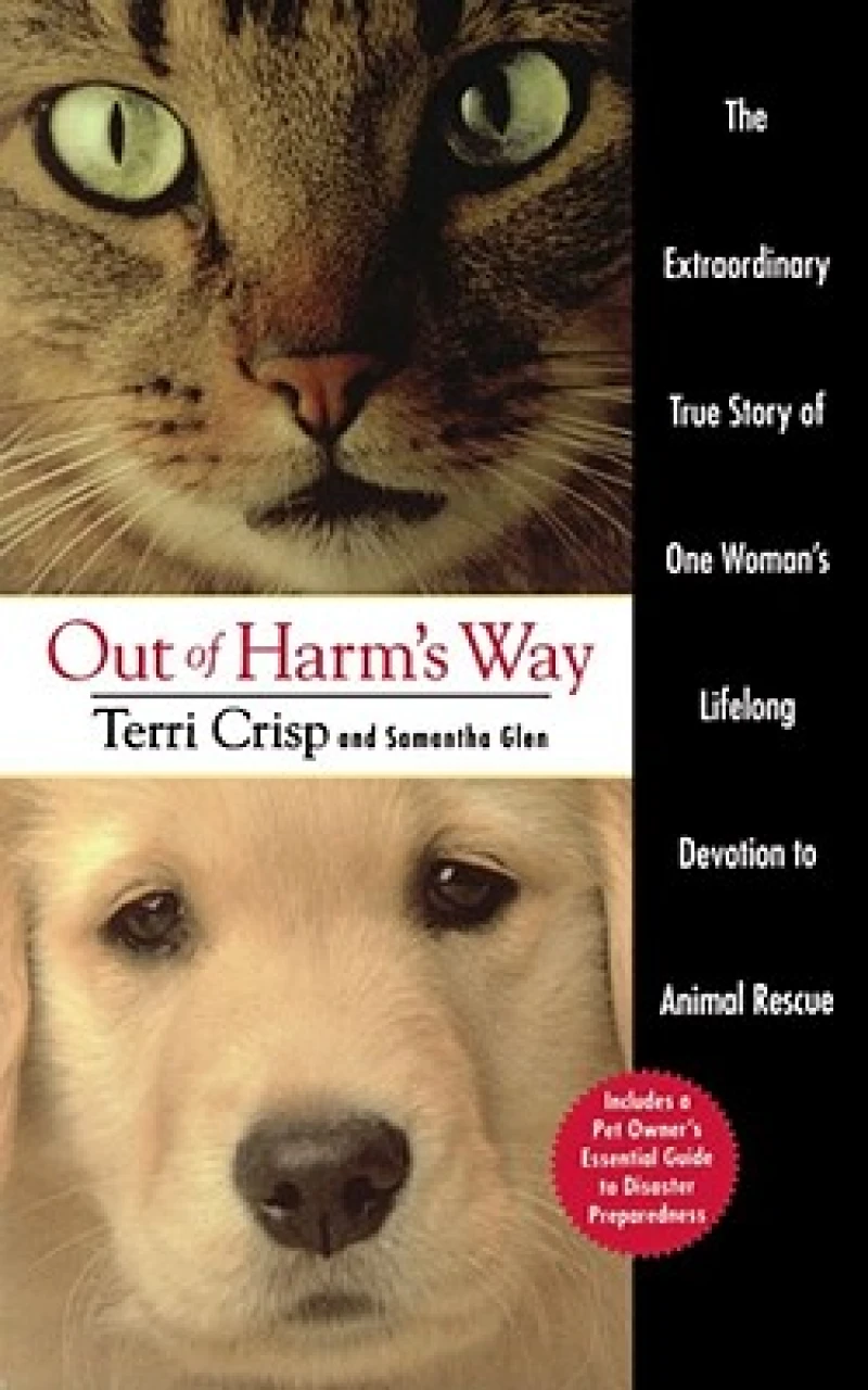 Out of Harm''s Way