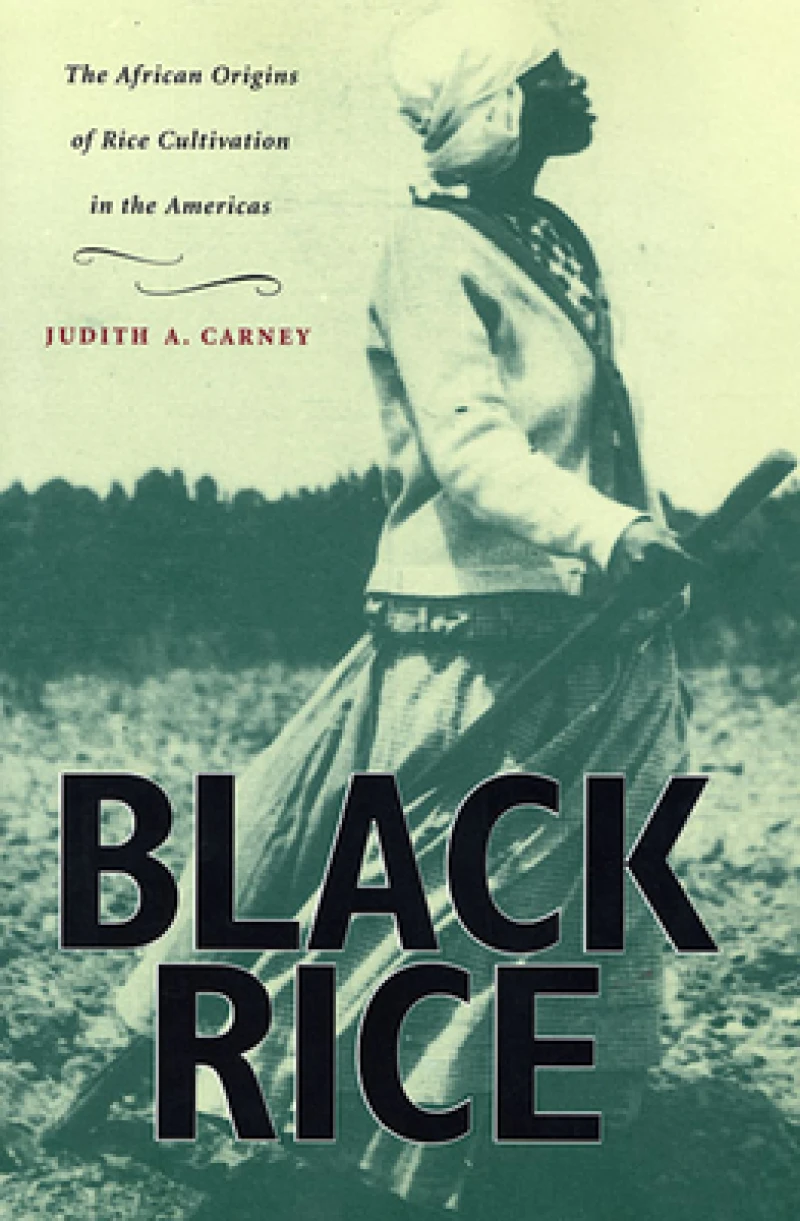 Black Rice – The African Origins of Rice Cultivation in the Americas