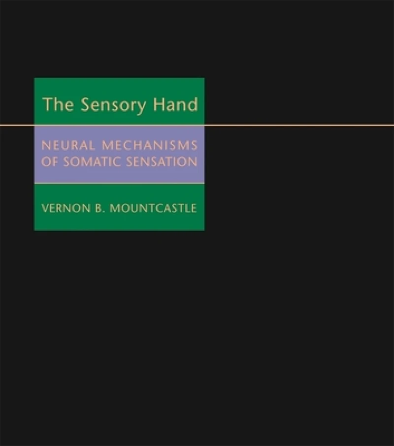 The Sensory Hand