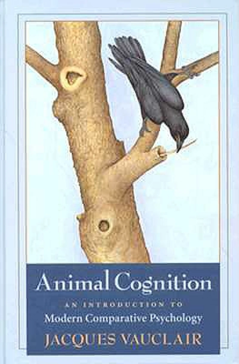 Animal Cognition