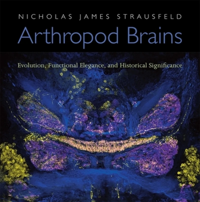 Arthropod Brains