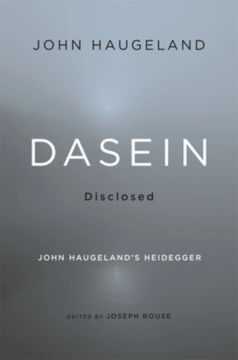 Dasein Disclosed