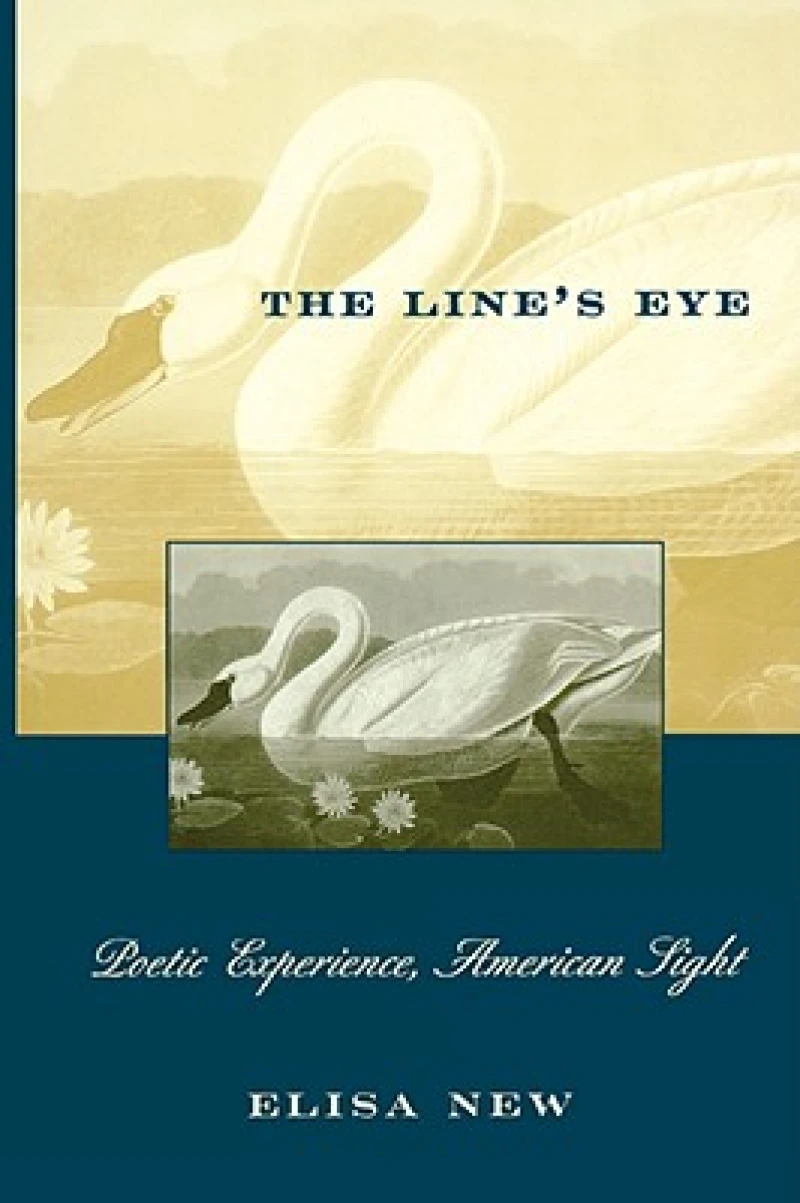 The Line’s Eye
