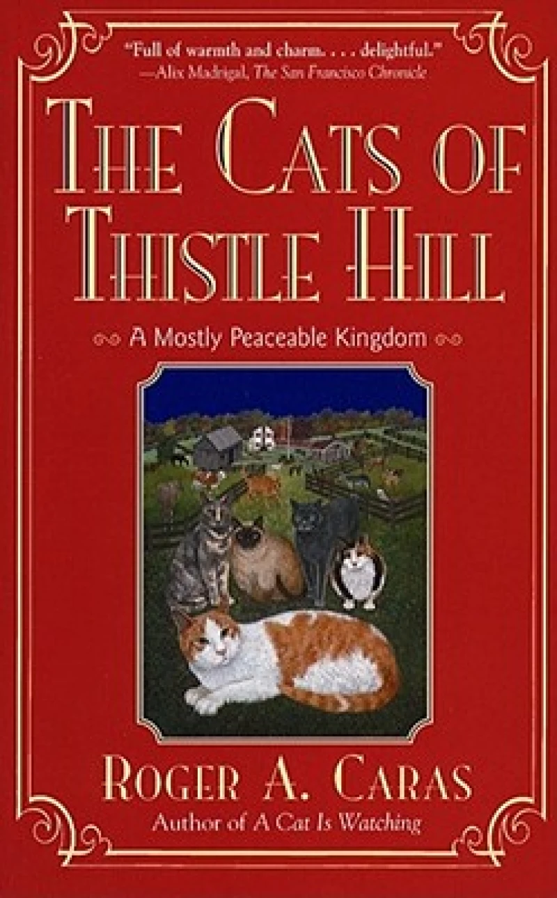 Cats Of Thistle Hill