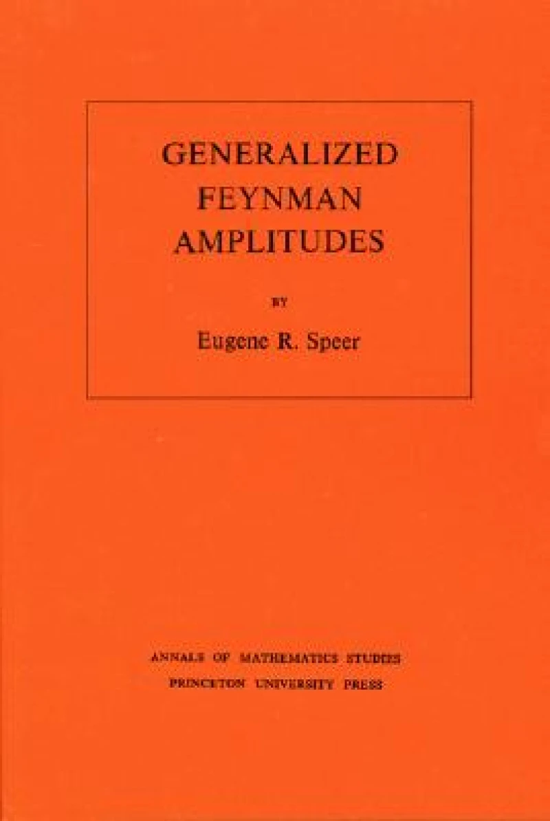 Generalized Feynman Amplitudes
