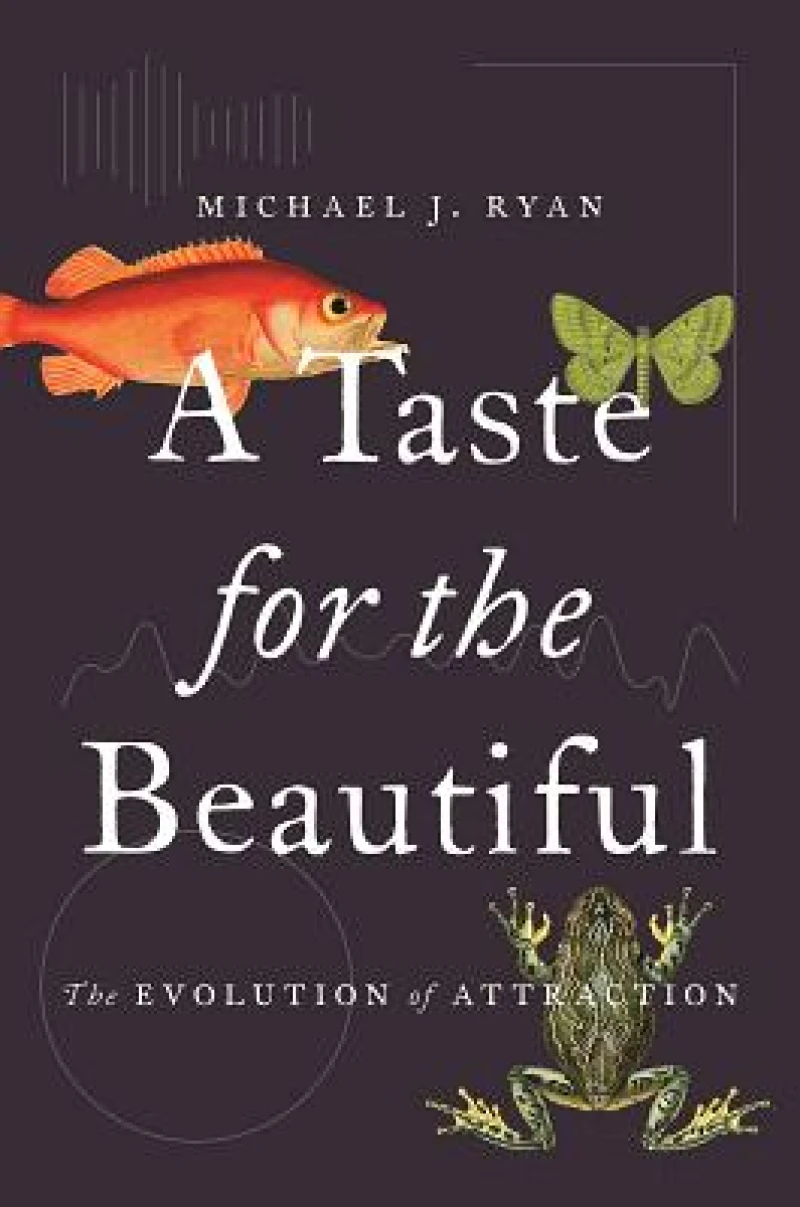 A Taste for the Beautiful