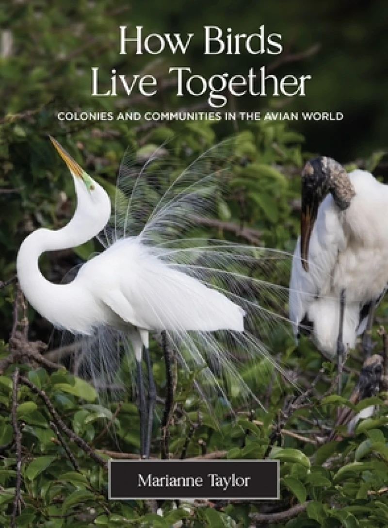 How Birds Live Together – Colonies and Communities in the Avian World