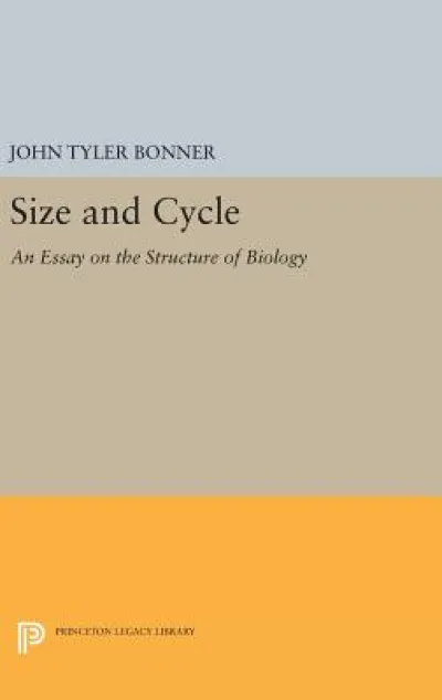 Size and Cycle
