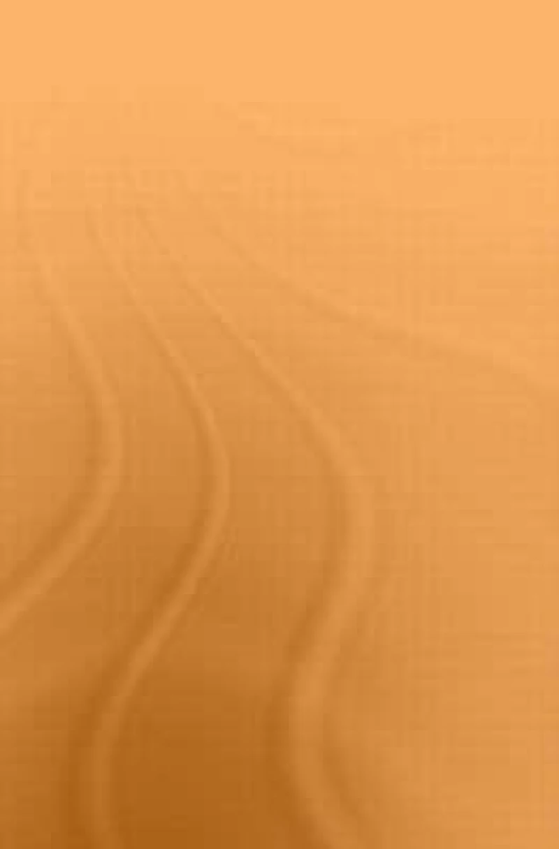 Azerbaijani Dictionary and Phrasebook