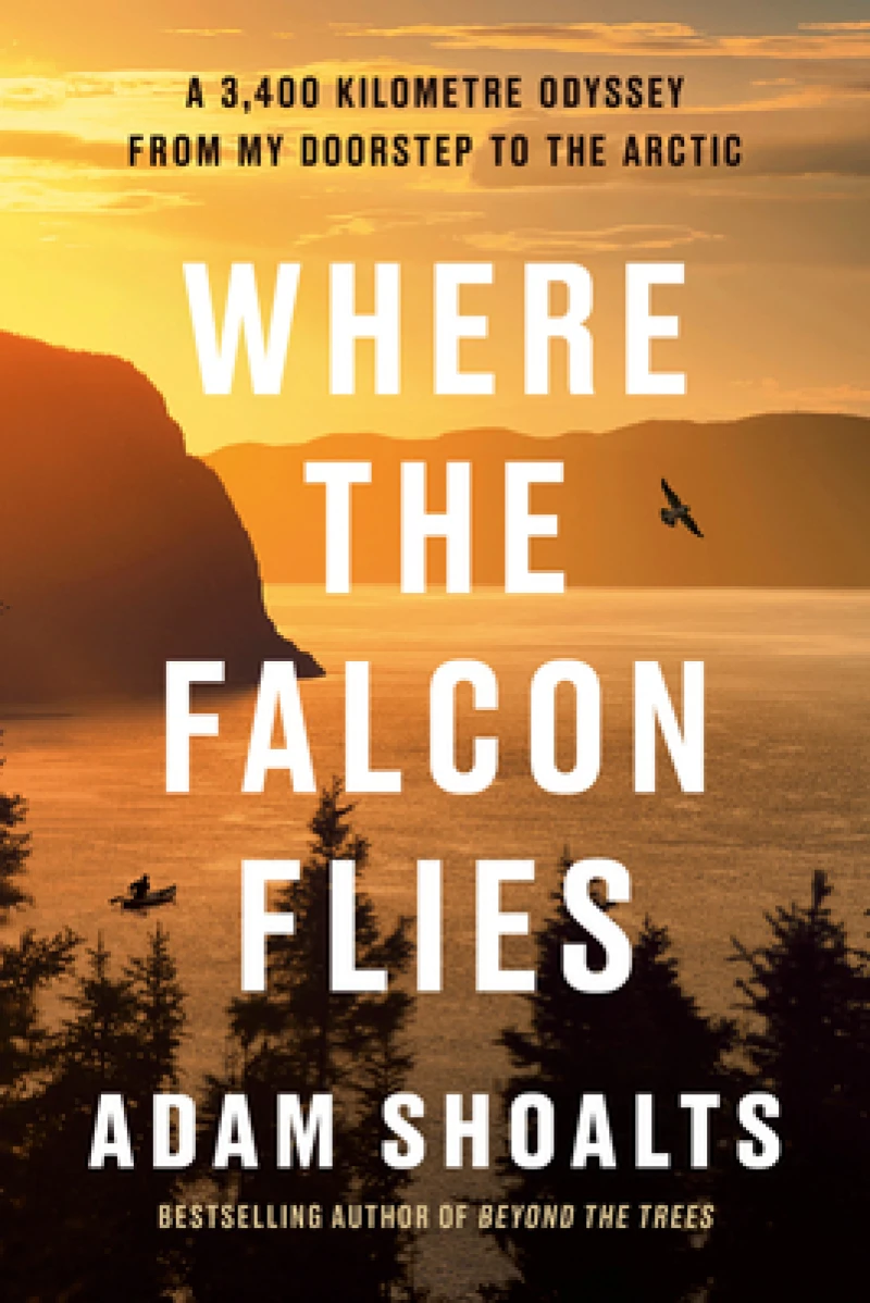 Where the Falcon Flies