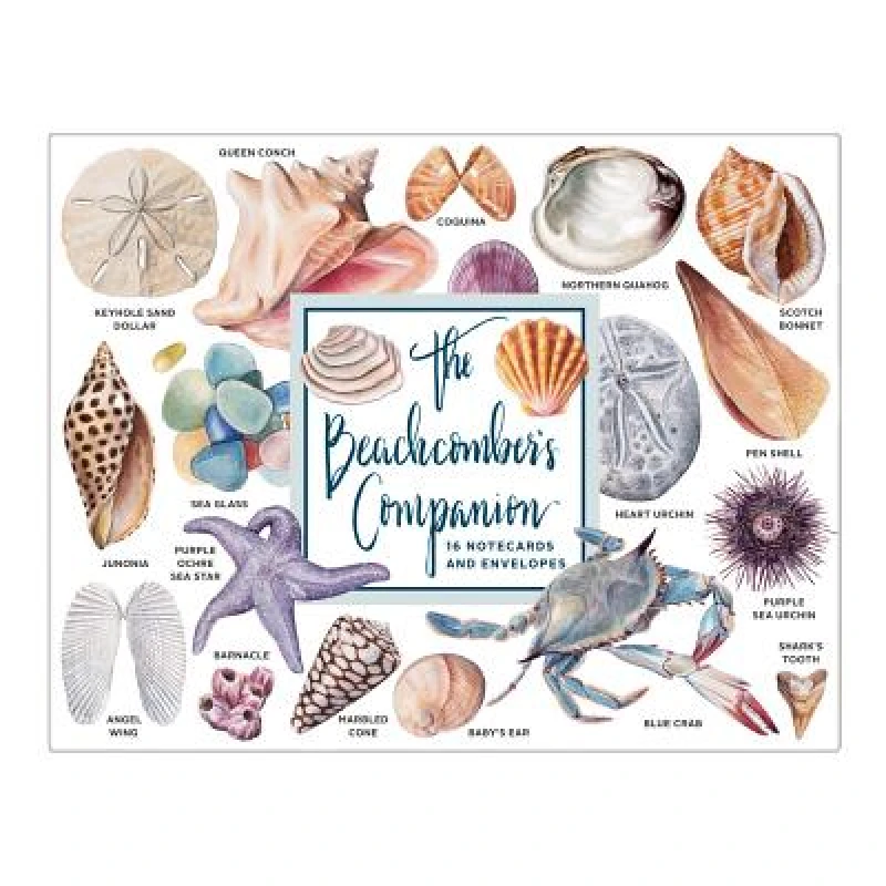 The Beachcomber's Companion Greeting Assortment Notecards