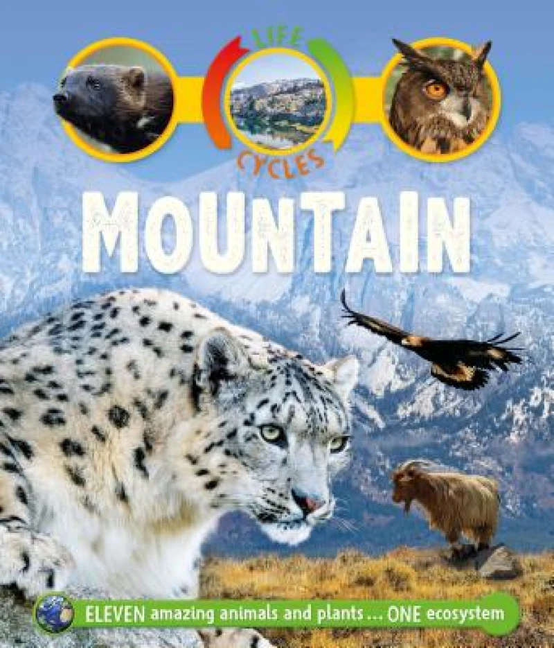 LIFE CYCLES MOUNTAIN