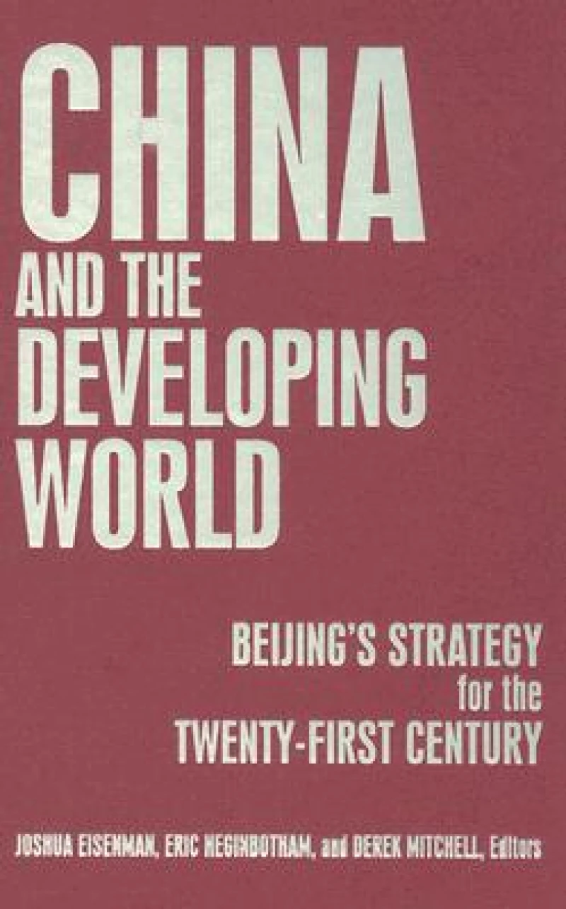 China and the Developing World