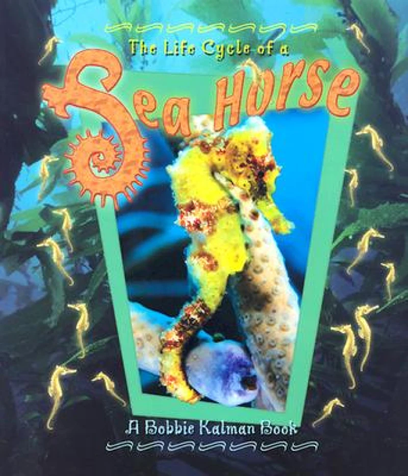 The Life Cycle of the Sea Horse