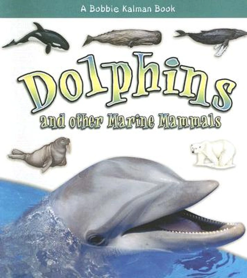 Dolphins and other Marine Mammals