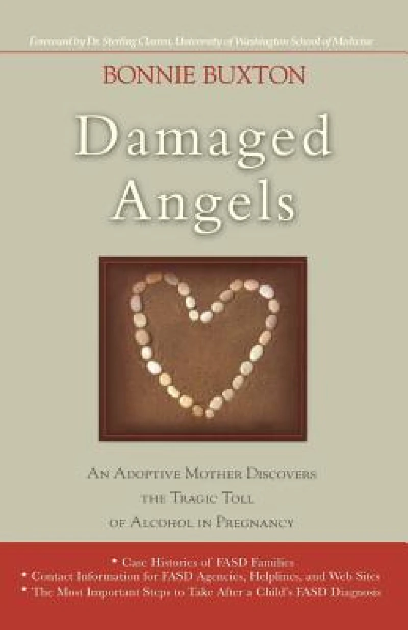 Damaged Angels