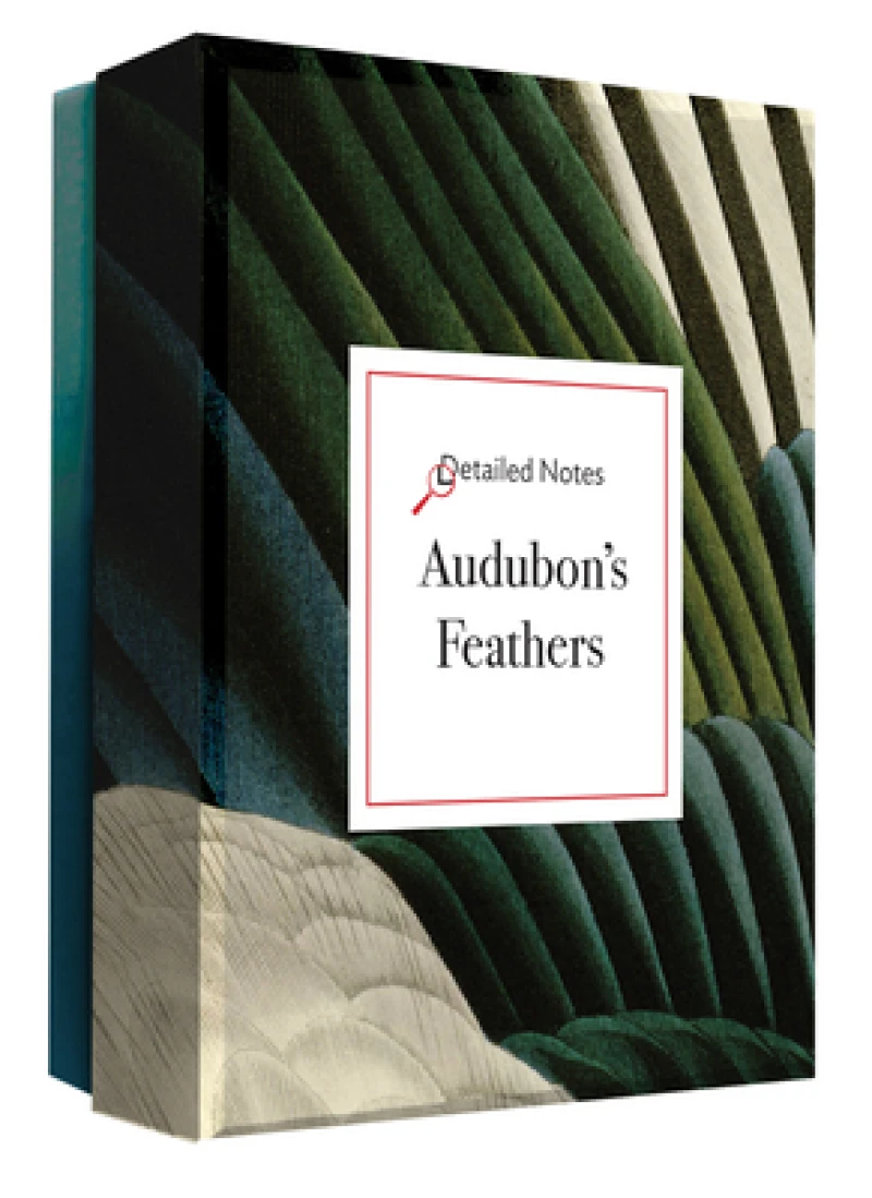 Audubon''s Feathers - Detailed Notecard Set