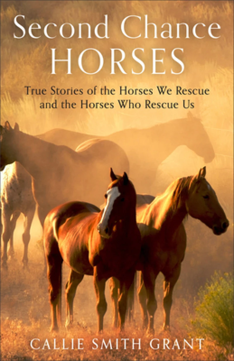 Second–Chance Horses – True Stories of the Horses We Rescue and the Horses Who Rescue Us