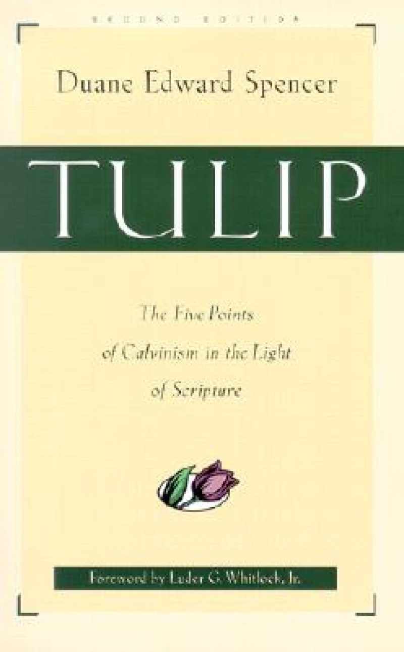 Tulip