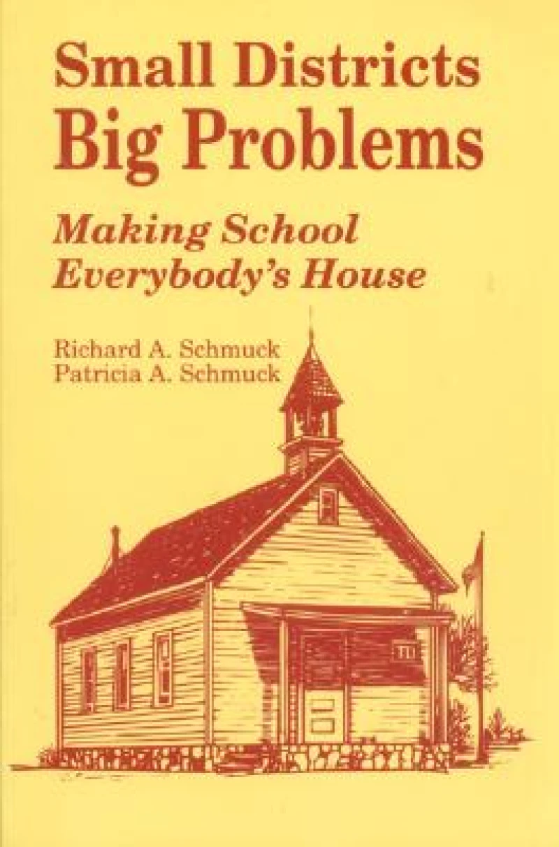Small Districts, Big Problems
